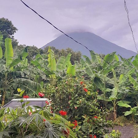Bananas Guest House Private Room Altagracia Buitenkant foto