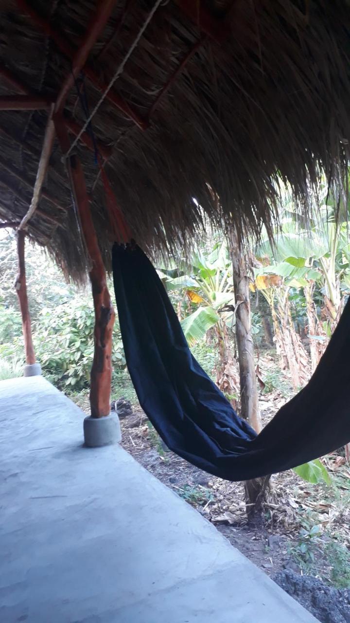 Bananas Guest House Private Room Altagracia Buitenkant foto